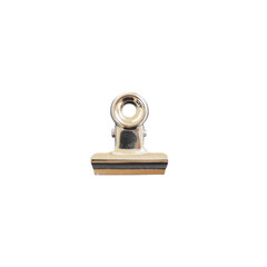 Gold Bulldog Clip Isolated