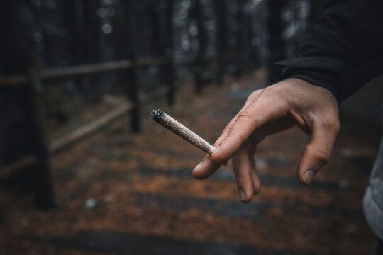 Hand of man holding cigarette while standing in forest