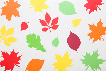 Created colorful different paper leaves from application paper on light gray table background. Closeup. Autumn decoration. Top down view.