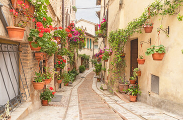 Spello - The little aisle with the flowers on the old Town.