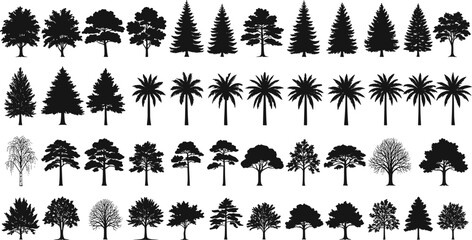 Tree silhouettes collection, black tree icons, diverse tree shapes, coniferous, deciduous, palm trees, forest design, nature illustration, botanical reference © Shafiqul