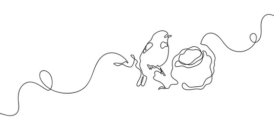 Bird perched beside bird nest, continuous line drawing hand drawn line art on transparent background. One line continuous outline isolated vector illustration. Editable stroke