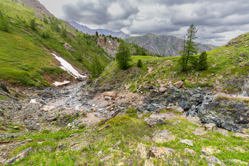 View of a river flowing through a gorge in Altai Mountains