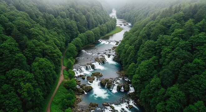 Aerial View of a Lush Forest River with Cascading Waterfalls - Powered by Adobe