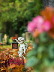 Sonniger Herbsttag mit Laub und Blüten im Topf am Grab