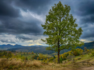 Fototapeta premium Misty Autumn Rain Clouds over Ukrainian Carpathian Mountains.