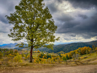 Obraz premium Misty Autumn Rain Clouds over Ukrainian Carpathian Mountains.