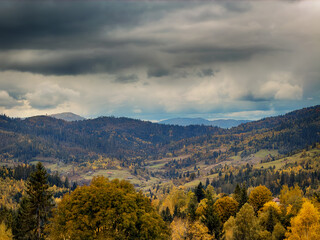 Obraz premium Misty Autumn Rain Clouds over Ukrainian Carpathian Mountains.