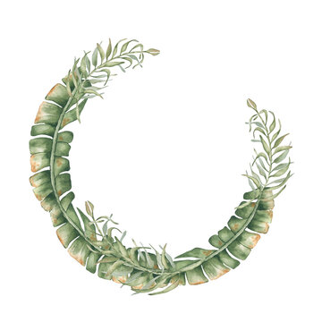 Fototapeta Tropical Watercolor Wreath isolated. Hand Painted Jungle Foliage with delicate banana leaves circle frame soft green tones. Botanical drawing palm leaves for packaging, wedding label, spa branding.