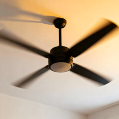 fan on the ceiling