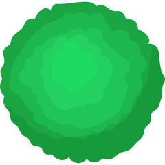 Top View Of A Lush Green Spherical Bush With Multiple Layered Foliage Depicting A Dense Organic Texture On A White Background Suitable For Landscape Design And Nature Illustration