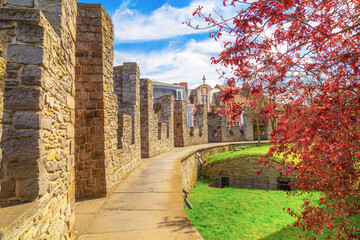 Fototapety na wymiar - Fototapeta24.pl