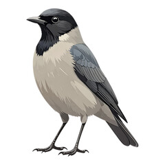Gray and Black Bird Illustration with Transparent Background, Digital Design Element