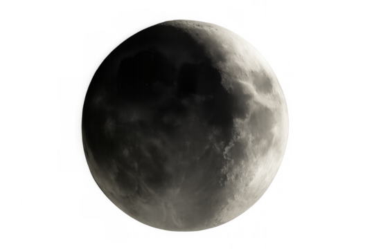 Half moon phase showing lunar craters and surface