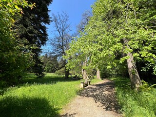 Horticultural monument arboretum Opeka (Croatia) - Das Arboretum Opeka oder Pflanzensammlung im Park von Schloss Opeka (Kroatien) - Hortikulturni spomenik arboretum Opeka (Vinica, Hrvatska)