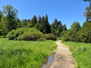 Horticultural monument arboretum Opeka (Croatia) - Das Arboretum Opeka oder Pflanzensammlung im Park von Schloss Opeka (Kroatien) - Hortikulturni spomenik arboretum Opeka (Vinica, Hrvatska)