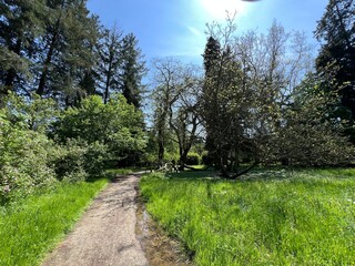 Horticultural monument arboretum Opeka (Croatia) - Das Arboretum Opeka oder Pflanzensammlung im Park von Schloss Opeka (Kroatien) - Hortikulturni spomenik arboretum Opeka (Vinica, Hrvatska)