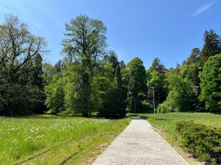 Horticultural monument arboretum Opeka (Croatia) - Das Arboretum Opeka oder Pflanzensammlung im Park von Schloss Opeka (Kroatien) - Hortikulturni spomenik arboretum Opeka (Vinica, Hrvatska)