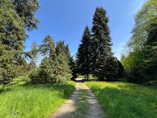 Horticultural monument arboretum Opeka (Croatia) - Das Arboretum Opeka oder Pflanzensammlung im Park von Schloss Opeka (Kroatien) - Hortikulturni spomenik arboretum Opeka (Vinica, Hrvatska)