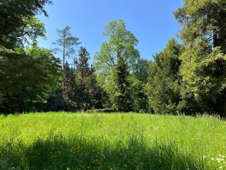 Obraz premium Horticultural monument arboretum Opeka (Croatia) - Das Arboretum Opeka oder Pflanzensammlung im Park von Schloss Opeka (Kroatien) - Hortikulturni spomenik arboretum Opeka (Vinica, Hrvatska)