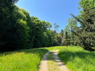 Horticultural monument arboretum Opeka (Croatia) - Das Arboretum Opeka oder Pflanzensammlung im Park von Schloss Opeka (Kroatien) - Hortikulturni spomenik arboretum Opeka (Vinica, Hrvatska)