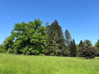 Horticultural monument arboretum Opeka (Croatia) - Das Arboretum Opeka oder Pflanzensammlung im Park von Schloss Opeka (Kroatien) - Hortikulturni spomenik arboretum Opeka (Vinica, Hrvatska)