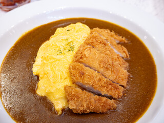 Crispy Breaded Tonkatsu with Creamy Egg Omelet in Rich Brown Curry Sauce