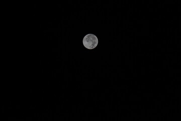 Full Moon in Dark Night Sky &ndash; Detailed Lunar Surface