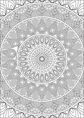Full Mandala Coloring Page for Adult Abstract Fun Color Book Line Art Vector