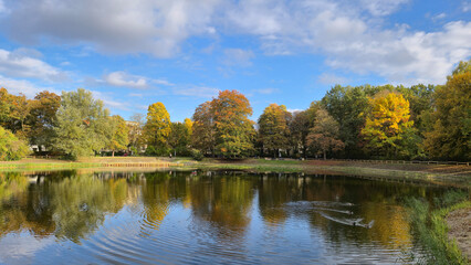 The Wilhelmsruh Lake in Berlin-Pankow in autumn 2025 after renaturation
