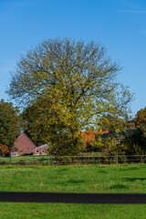 Fototapeta premium house in autumn