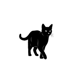 A sleek black cat with bright eyes walks forward with its tail curved.
