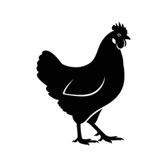 Black silhouette of a chicken standing on a white background.