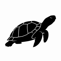 Silhouette of a sea turtle swimming, with detailed shell markings.