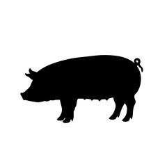 A simple black silhouette of a domestic pig with a curly tail standing in profile against a white background.