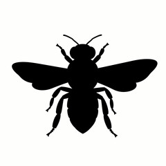 A black silhouette of a bee insect with spread wings, viewed from above on a white background.
