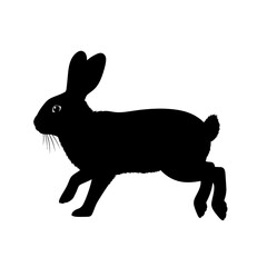 A black silhouette of a rabbit in motion, with its ears perked up and legs extended as if running.