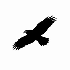 A silhouette of a hawk in flight with its wings spread wide against a white background.