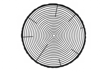 Cross section of a tree trunk showing annual growth rings, symbolizing age, nature, and wood texture on transparent background