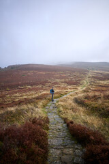 Obraz premium Female hiker looks over path in North Yorkshire Moors, UK