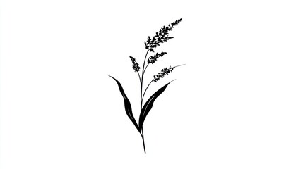 Fototapeta premium Silhouette of elegant plant against white background suitable for various applications