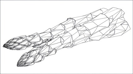 Asparagus wireframe design
