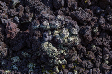 Dark volcanic rocks covered with lichens at Yakehashiri Lava Flow, at the foot of Mount Iwate, Japan — a striking trace of volcanic activity and nature’s resilience.