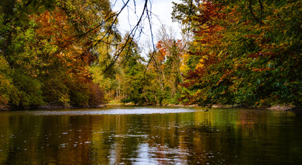 Fototapeta premium Amper River Near Fuerstenfeldbruck Munich Bavaria: Peaceful Autumn Landscape With Flowing Water Surrounded By Colorful Trees And Natural Riverbank