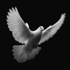 Fototapeta premium White dove flying gracefully on black background, symbol of peace and purity.