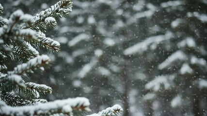 Closeup of snowcovered pine tree branches during a snowfall - Powered by Adobe