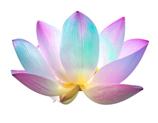 Fototapeta premium Floating Aurora Flower Pod Front View, Soft Multicolor Glow, Isolated on Transparent Background