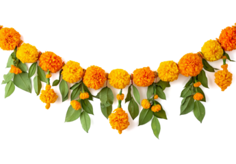 marigold flower garland for diwali decoration, isolated on a transparent background