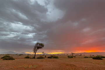 Obraz premium Red glow at sunset after the rain