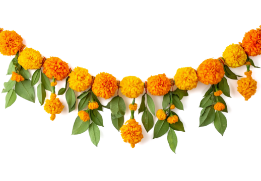 marigold flower garland for diwali decoration, isolated on a transparent background
